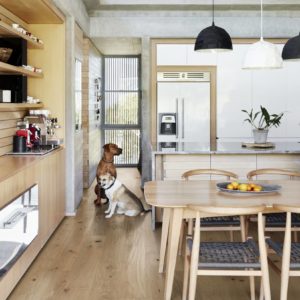 Cuisine moderne avec des chiens qui se reposent sur le paquet